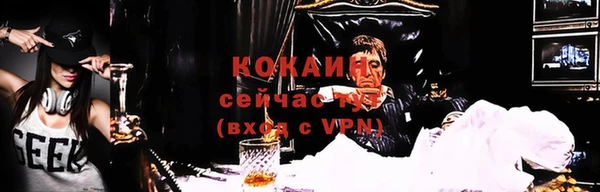 2c-b Инсар