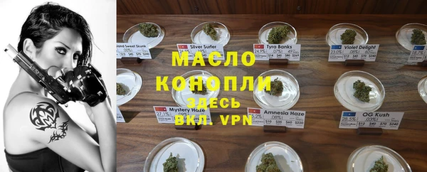 2c-b Инсар