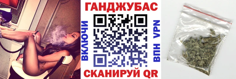 Купить Стародуб Каннабис сатива